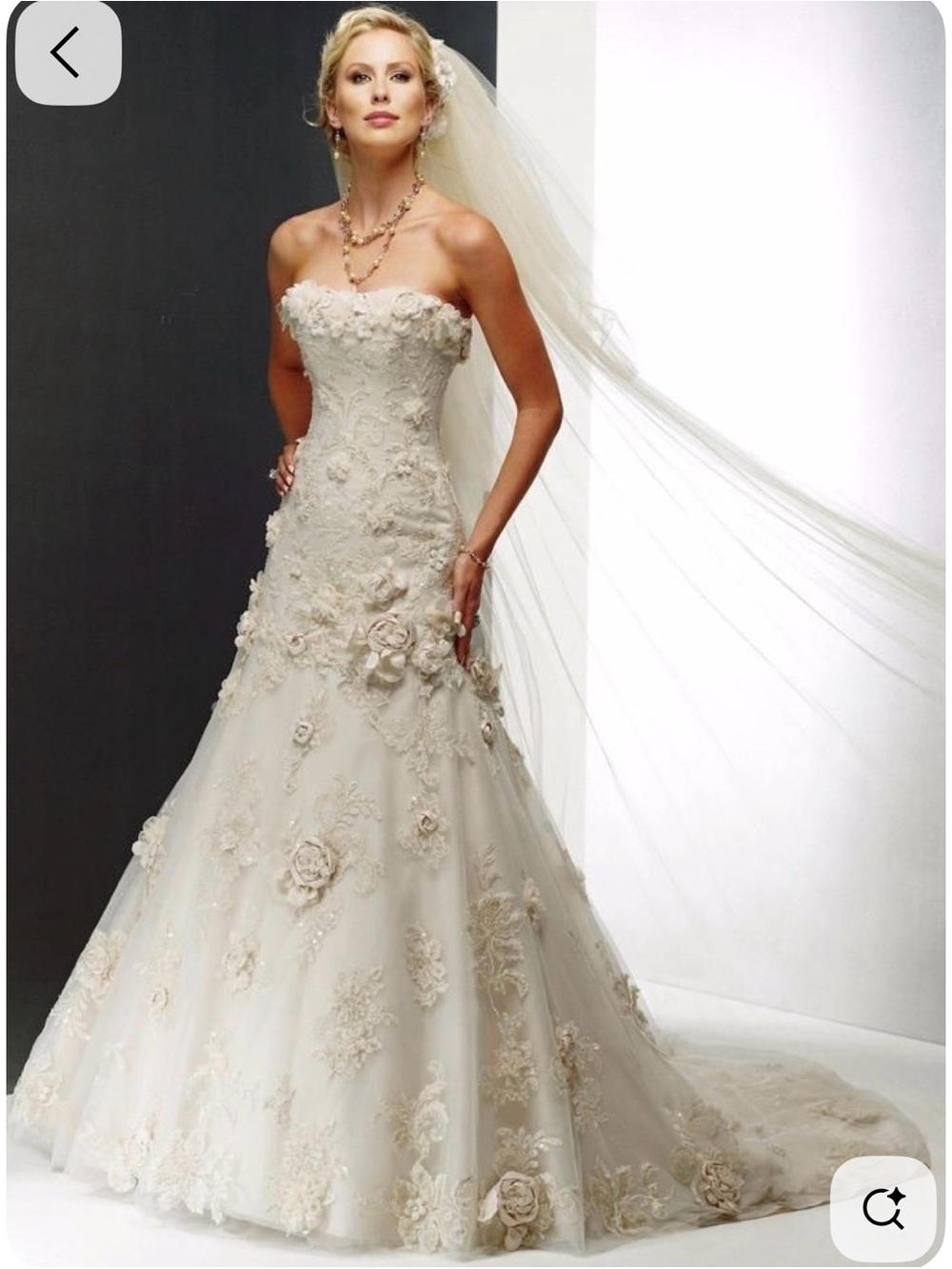 Maggie Sottero Ivory Strapless Floral Appliqué Wedding Gown